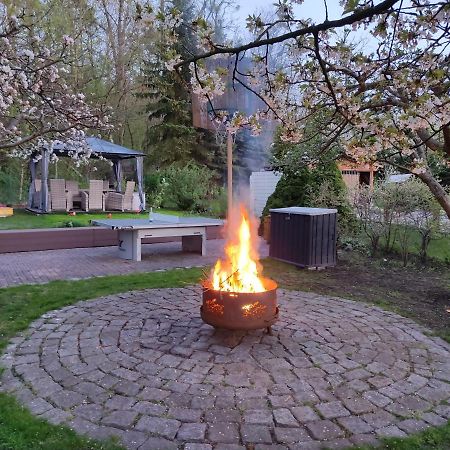 Grosszuegige Ferienwohnung Am Waldesrand Im Seenland Lauta Exteriér fotografie