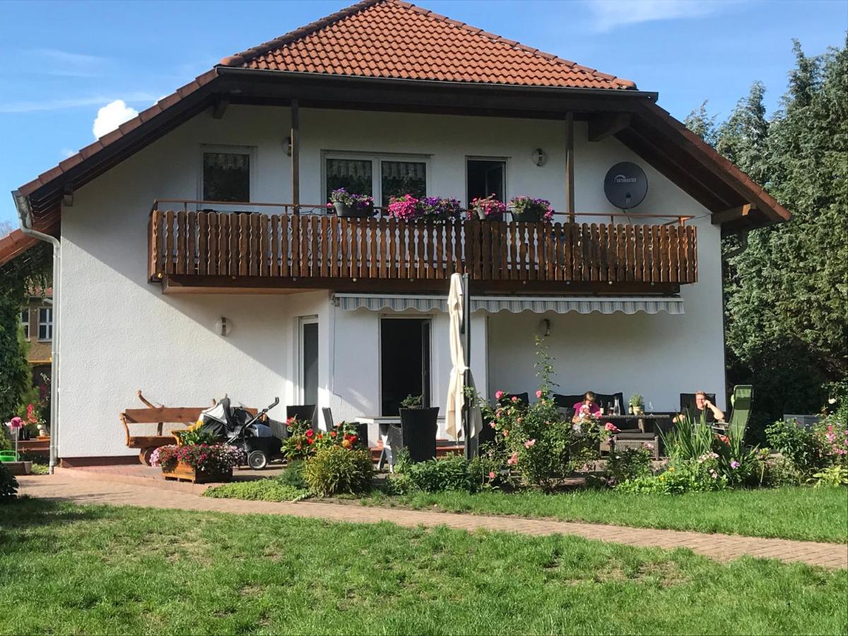 Grosszuegige Ferienwohnung Am Waldesrand Im Seenland Lauta Exteriér fotografie