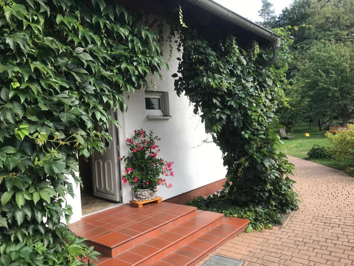 Grosszuegige Ferienwohnung Am Waldesrand Im Seenland Lauta Exteriér fotografie