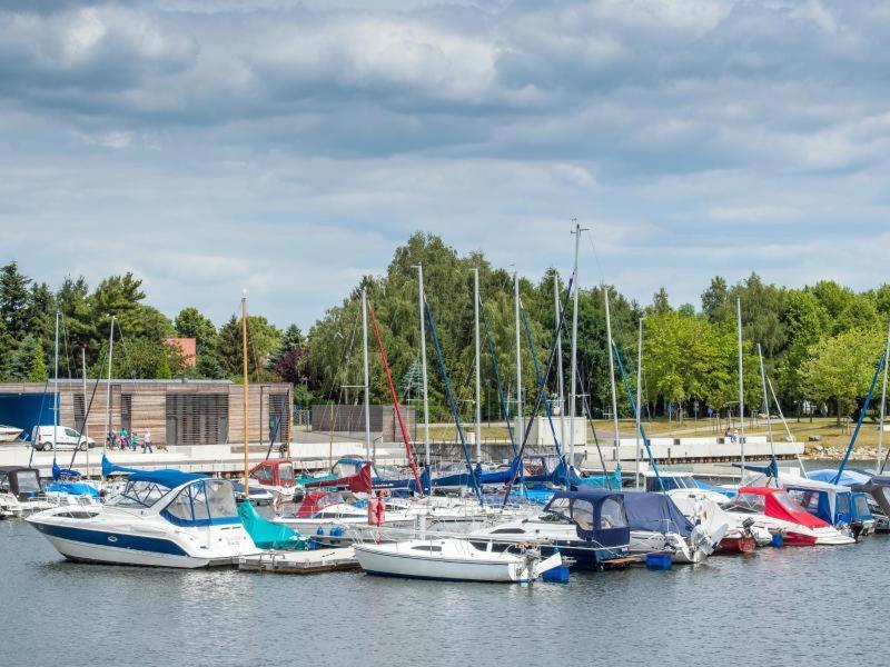 Grosszuegige Ferienwohnung Am Waldesrand Im Seenland Lauta Exteriér fotografie