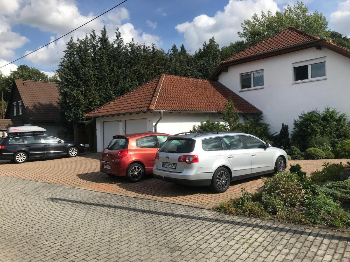 Grosszuegige Ferienwohnung Am Waldesrand Im Seenland Lauta Exteriér fotografie
