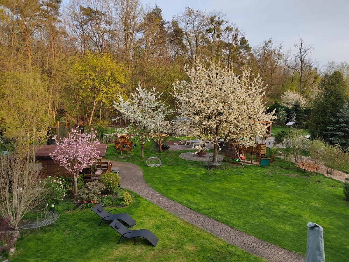 Grosszuegige Ferienwohnung Am Waldesrand Im Seenland Lauta Exteriér fotografie